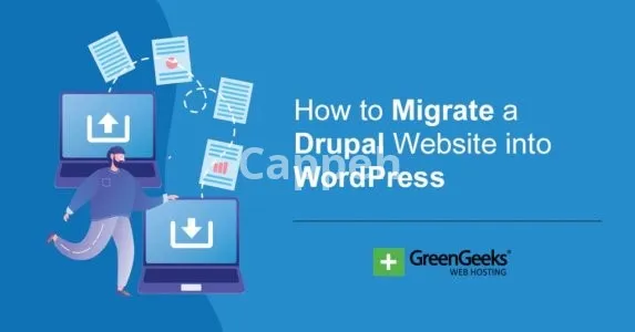 I will migrate your drupal website to wordpress
