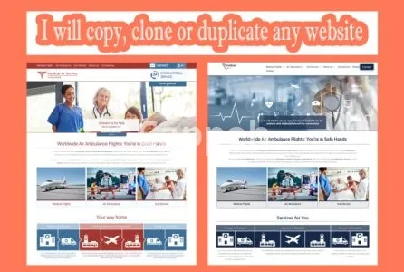 I will copy clone or duplicate any website