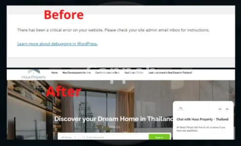 I will fix critical error wordpress website without losing content