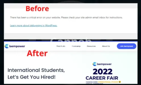 I will fix critical error wordpress website without losing content