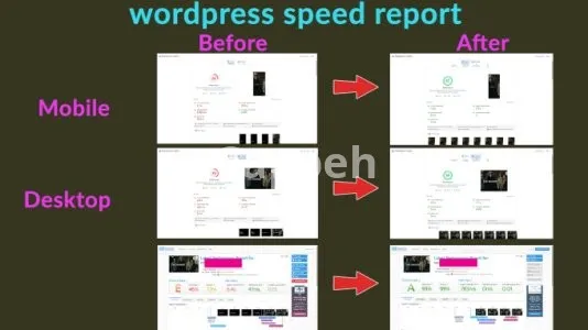 I will speed up wordpress website optimization, fix core web vitals,cls,lcp,google page