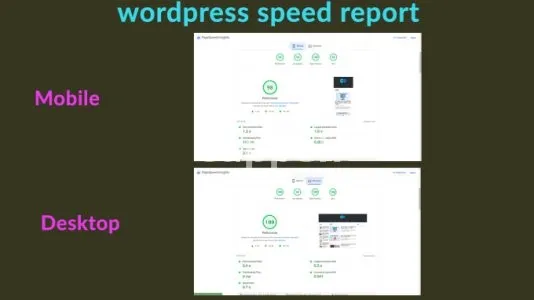 I will speed up wordpress website optimization, fix core web vitals,cls,lcp,google page