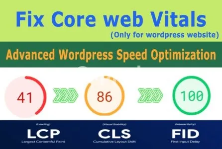 I will speed up wordpress website optimization, fix core web vitals,cls,lcp,google page