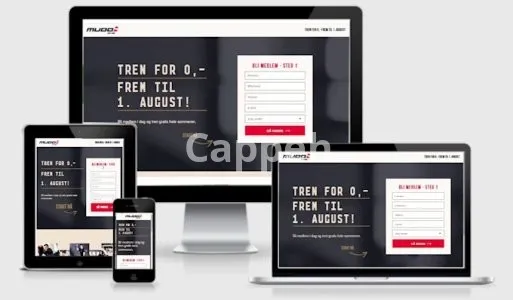 I will make the website mobile responsive and mobile optimized for all device