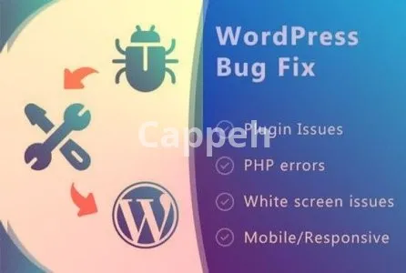 I will fix wordpress issues,theme and plugins update, customization