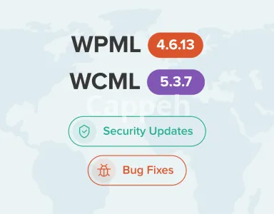 I will fix wordpress bugs related to wpml plugin