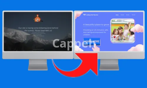 I will fix any wordpress website issue, error problem bug design elementor divi