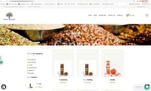 I will do shopify bug fix and solve code issues in your shopify store