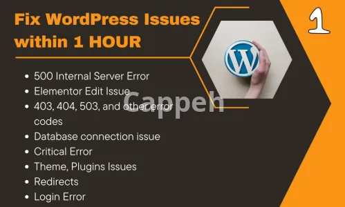 I will fix 403, 404, 500, 503 critical errors in wordpress website