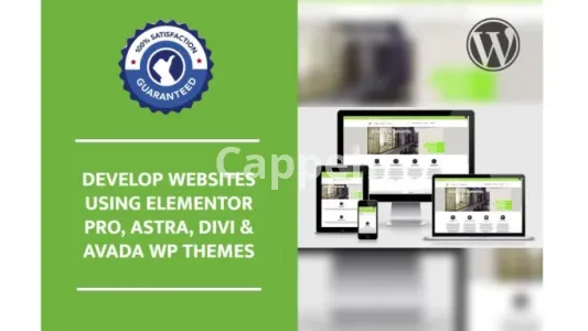 I will be your wordpress, astra, avada, elementor pro expert and fix wordpress issues