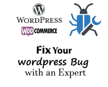 I will fix your wordpress bug or error in 1 hour