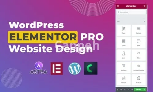 I will be your elementor pro expert for designing elementor website