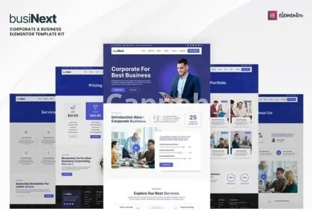 I will be your elementor pro expert for designing elementor website