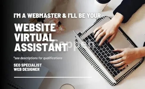 I will be your wordpress virtual assistant, SEO specialist and web designer for an hour