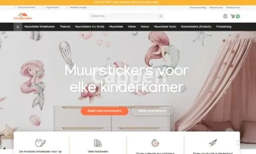 I will design, develop and set up your lightspeed ecom site