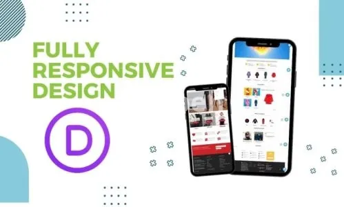 I will fix divi issues and customization wordpress website with divi theme