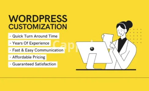 I will do any wordpress customization in 12 hours