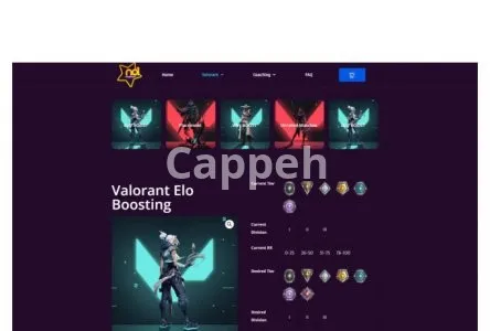I will set up woocommerce taxes, shipping and dynamic pricing rules