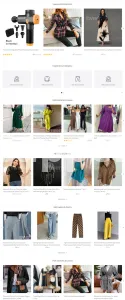 I will build a professional clothing shopify store or brand website