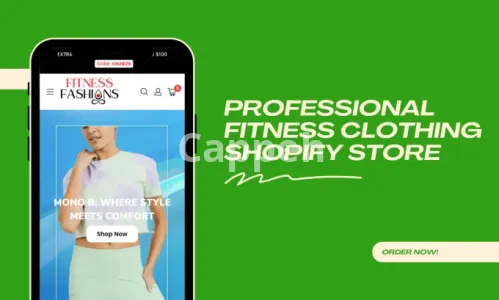 I will build a professional clothing shopify store or brand website