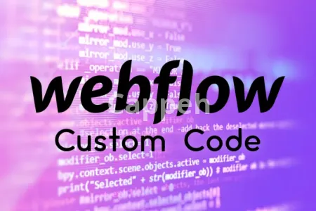 I will write custom code for any of your needs in webflow