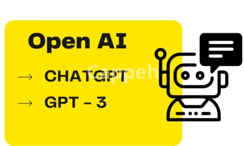 I will build your ai application with chat gpt or gpt3