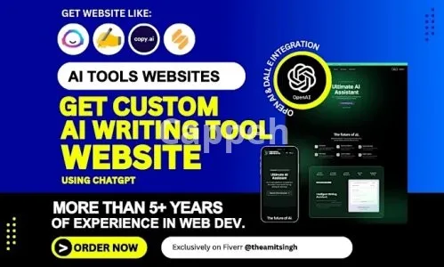 I will build you custom ai writing tool website using chatgpt API like jasper, rytr