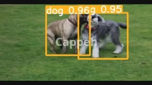 I will do computer vision, deep learning, cnn, yolo and opencv projects