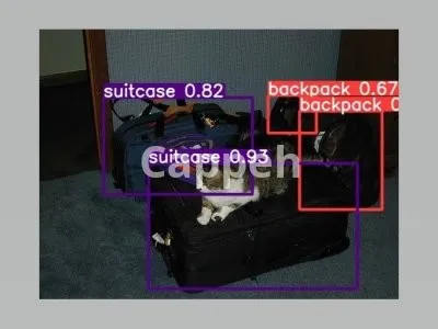 I will do computer vision, deep learning, cnn, yolo and opencv projects