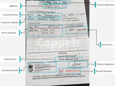 I will do text extracting from pdfs and images using ocr