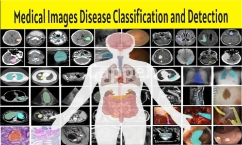 I will do medical image classification and detection in deep learning