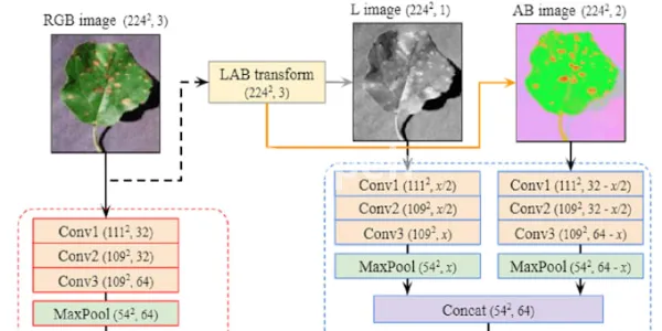 I will do plant leaf disease detection and classification