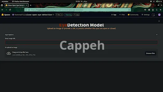 I will offer ml, dl, data science, neural networks services