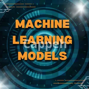 I will build custom ml models for prediction and classification