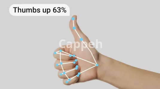 I will object tracking, segmentation, gesture recognition, detection by computer vision