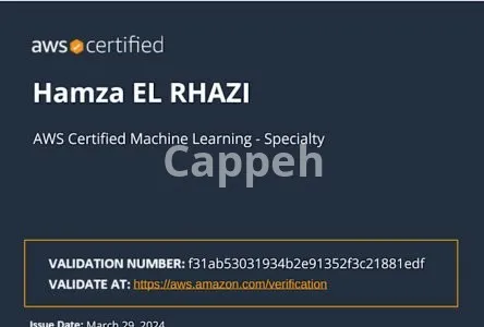 I will do amazon bedrock or amazon sagemaker architecture