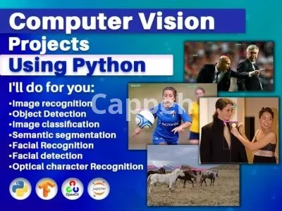 I will do python computer vision projects
