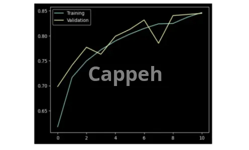 I will help you in computer vision, machine learning, deep learning