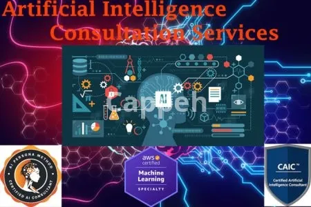 I will be your seasoned ai and machine learning consultant