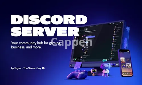 I will setup your custom discord server