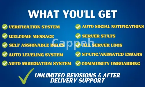 I will do best discord server setup within 12 hours