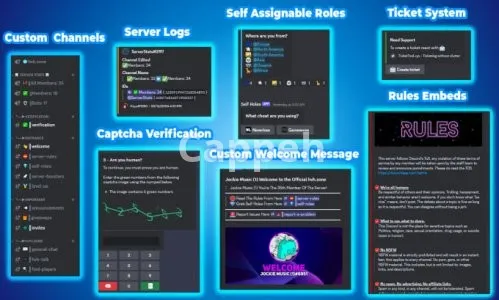 I will do best discord server setup within 12 hours