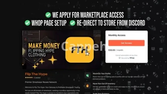 I will setup a business discord server with whop subscriptions