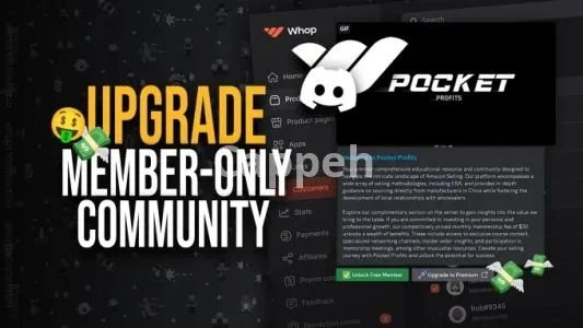 I will setup a business discord server with whop subscriptions