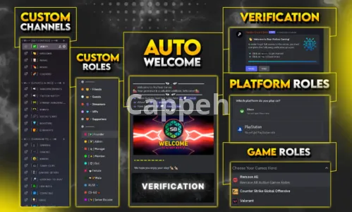 I will create discord server setup, nft, gaming or anime or any shop server custom edit