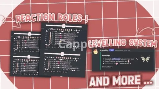 I will create aesthetic, anime, kawaii and cute discord server