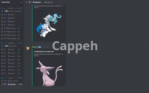 I will setup your new or existing discord server for huge success