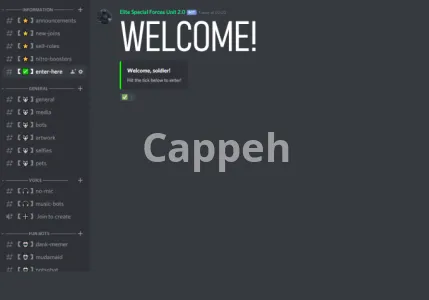 I will setup your new or existing discord server for huge success