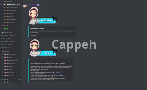 I will setup your new or existing discord server for huge success