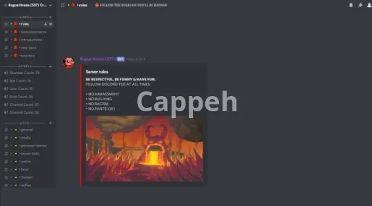 I will setup your new or existing discord server for huge success